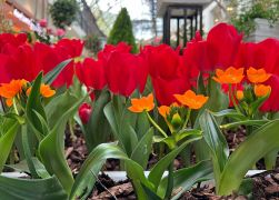 Fruehling In Jenas Goethe Galerie 2024 14